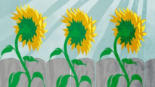 Antitrust: Tracing Inequality – From The United States To South Africa