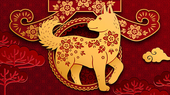 Antitrust Chronicle China 2018