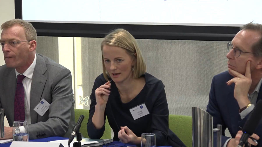 Designing Antitrust Regulatory Models in a Globalized Silicon Valley Culture