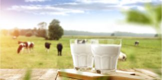 DOJ Set To Approve Mega Dairy Deal