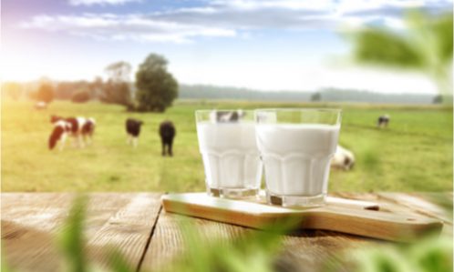 DOJ Set To Approve Mega Dairy Deal