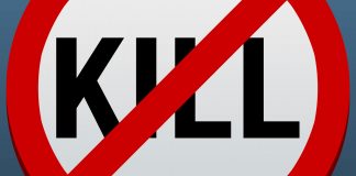 The No Kill Zone: The Other Side of Pharma Acquisitions