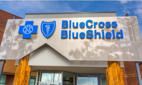 Blue Cross Blue Shield insurers