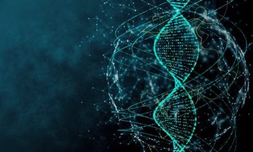 Features of Procompetitive Collaborations in the Life Sciences