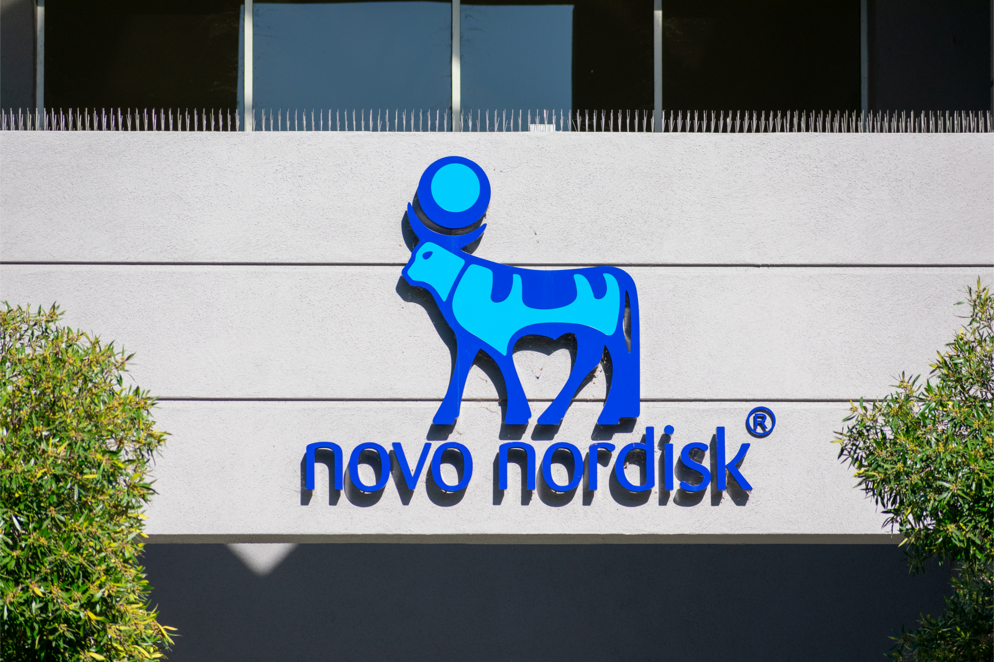 Novo Nordisk